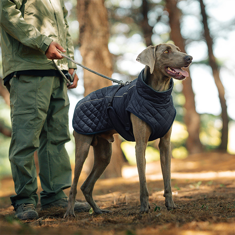 Winter-Reflexmantel für Hunde im Freien