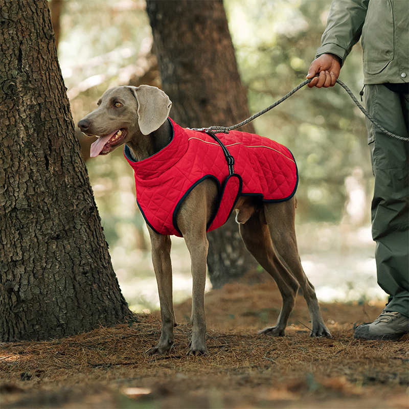 Winter-Reflexmantel für Hunde im Freien