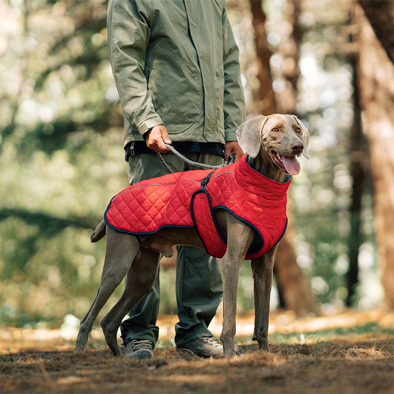 Winter-Reflexmantel für Hunde im Freien