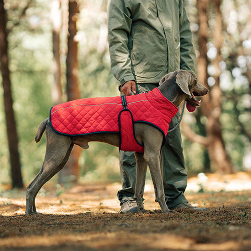 Winter-Reflexmantel für Hunde im Freien