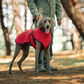 Winter-Reflexmantel für Hunde im Freien