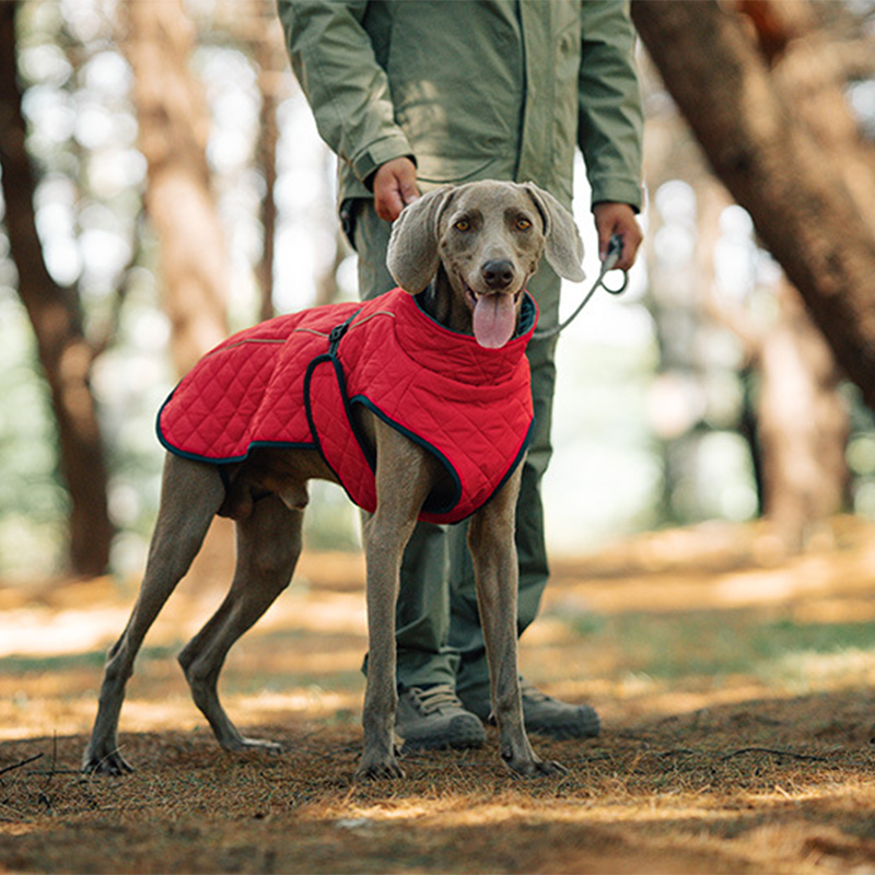 Winter-Reflexmantel für Hunde im Freien