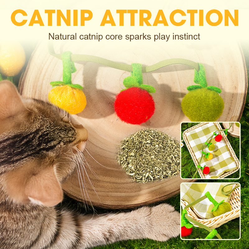 🐱Interaktives, fruchtförmiges Katzenminze-Spielzeug mit Schnur
