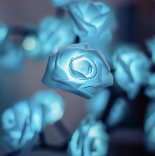 ✨🌹Rosenblüten-Design Baum Nachtlicht