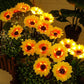 🌻🔥🔥🔥Wasserdichte Sonnenblume mit Solarpanel
