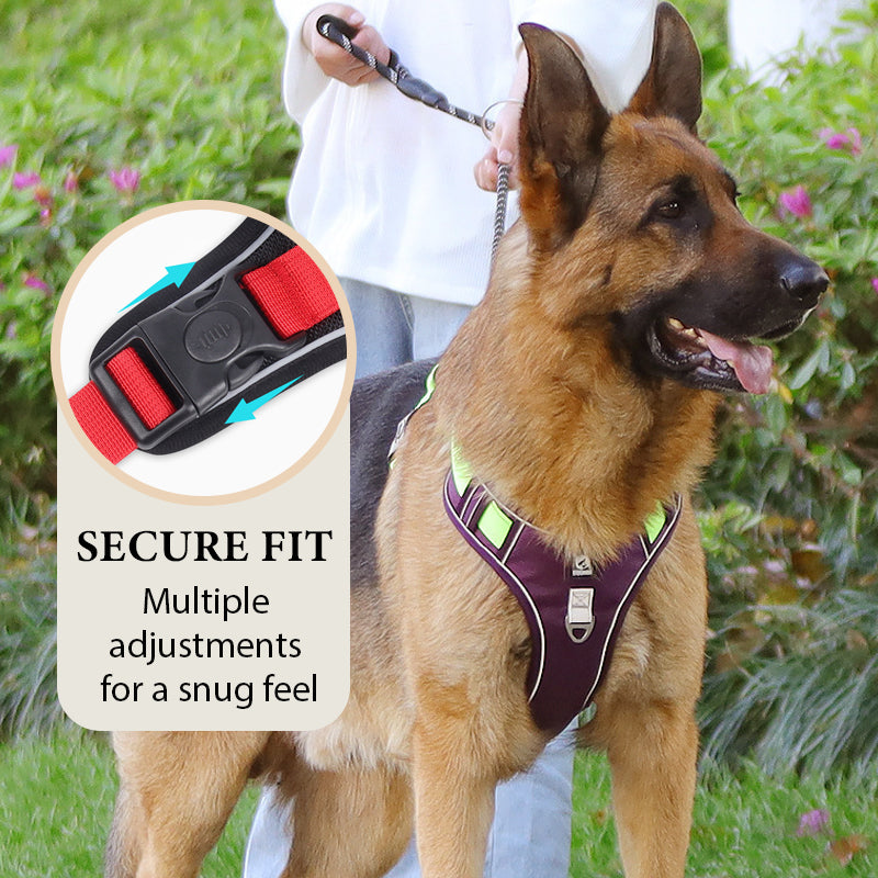 🐾 Anti-Zug Hundegeschirr mit Front-D-Ring 🦮 inkl. Leine & LED-Halsband 🔥 sicher & komfortabel