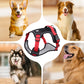🐾 Anti-Zug Hundegeschirr mit Front-D-Ring 🦮 inkl. Leine & LED-Halsband 🔥 sicher & komfortabel
