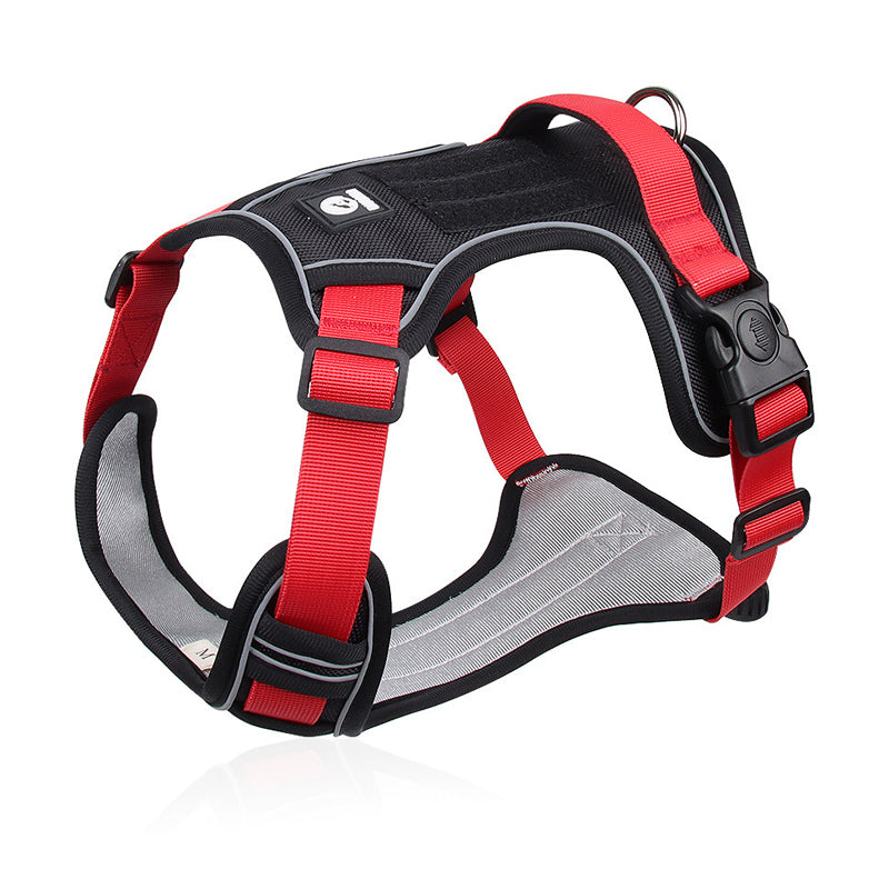 🐾 Anti-Zug Hundegeschirr mit Front-D-Ring 🦮 inkl. Leine & LED-Halsband 🔥 sicher & komfortabel