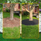 🌿 Schwarze PE-Gartenkante – flexibler Rasen- & Beetbegrenzer aus hochdichtem Kunststoff, wetterfest & einfach zu verlegen 🪴