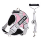 🐕 50 % Rabatt ! Hundegeschirr ohne Zug – Geschirr- und Leinen-Setendlich entspannt! 🐕 Atmungsaktives Mesh, reflektierende Gurte & Haltegriff ⚡ Limitiertes Angebot ⏳