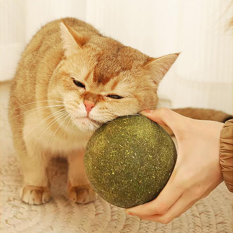 Riesiger Katzenminze Bälle