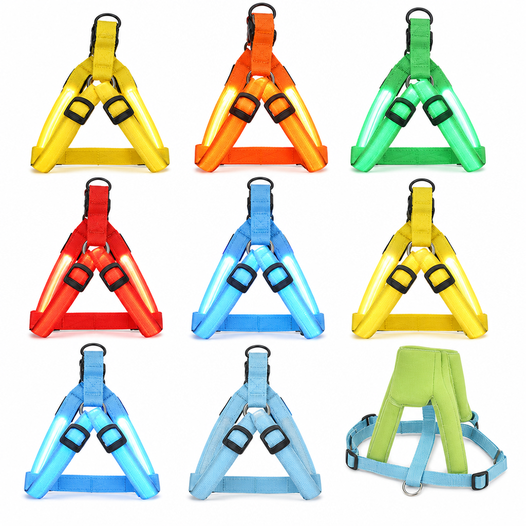 LED-Hundeharness mit Leuchtfunktion für Spaziergänge bei Nacht