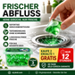 🏠💧 50 % Rabatt! Abfluss‑Deodorant‑Tabs – Bio‑Enzym‑Formel neutralisiert Gerüche direkt an der Quelle. Sofortiger Frischeduft, ohne aggressive Chemikalien. Verabschieden Sie sich von unangenehmen Gerüchen. 🚰✅
