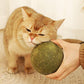 Riesiger Katzenminze Bälle