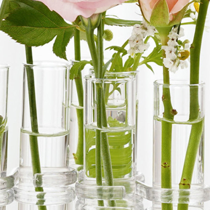 Zylindrische Vasen aus transparentem Glas (6 Stücke/8 Stücke)