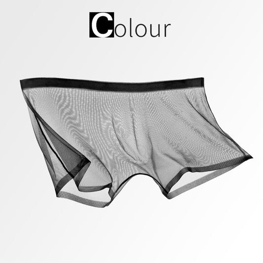 Ice Silk Sexy Mesh Volltransparenter Boxer