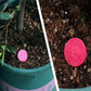 Home Gardening Universal Langzeitdünger in Tablettenform Organischer Dünger
