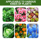 Fördern das Wachstum von Blumen und Früchten