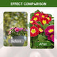 Fördern das Wachstum von Blumen und Früchten