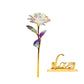 Bunte Galaxy Rose