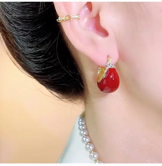 Elegante Ohrringe mit Diamantbesatz（50% OFF）